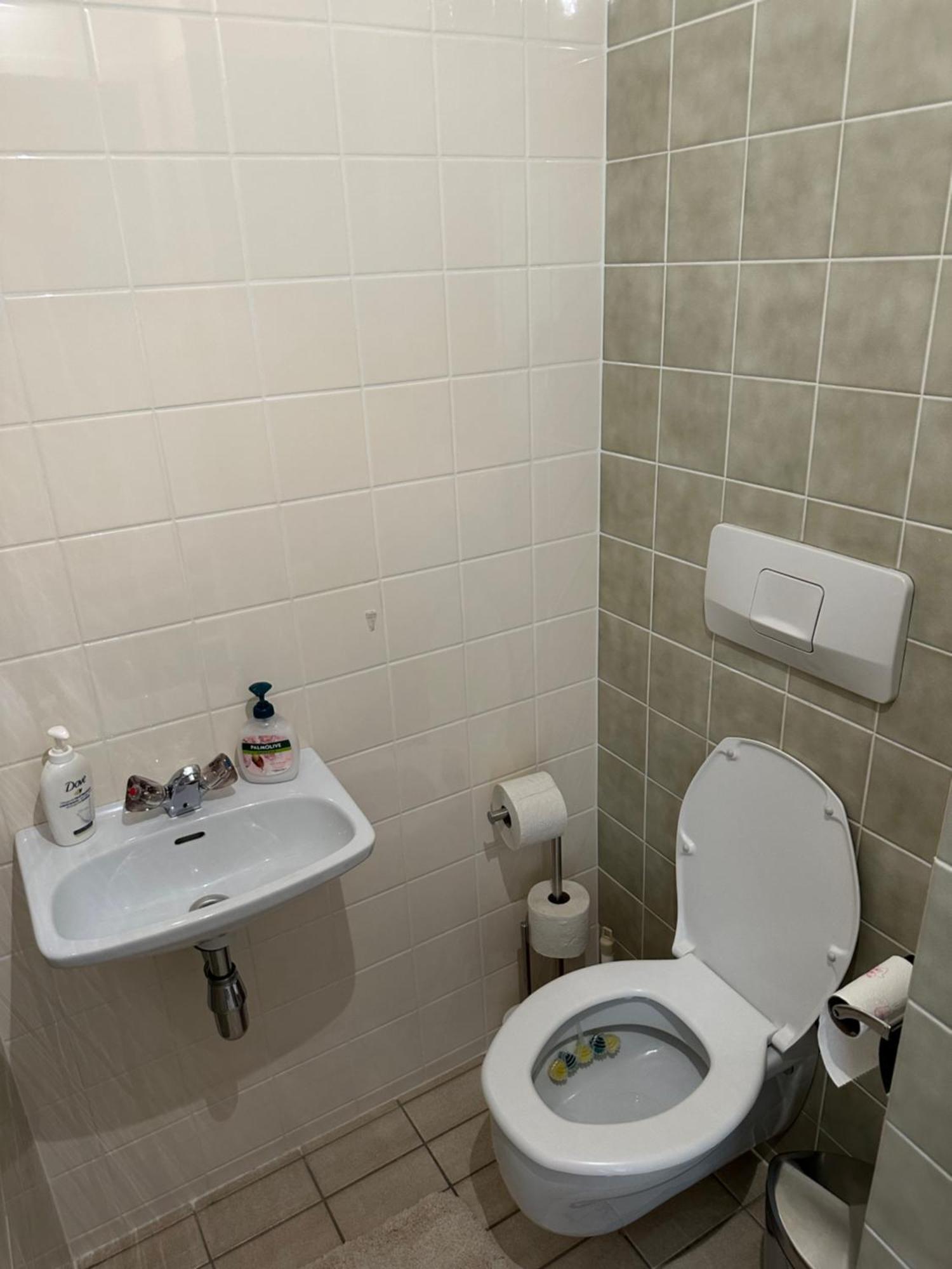 Bright & Stylish In - Newly Renovated, Center Easy To Reach Vienna